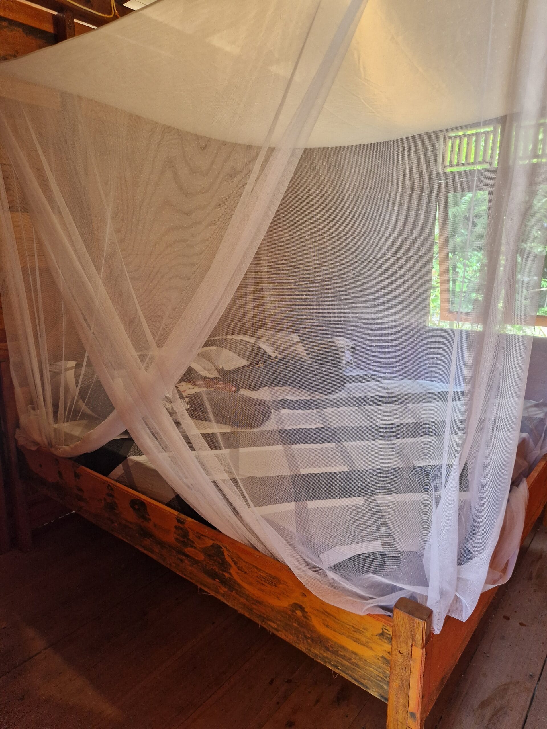 private room mentawai